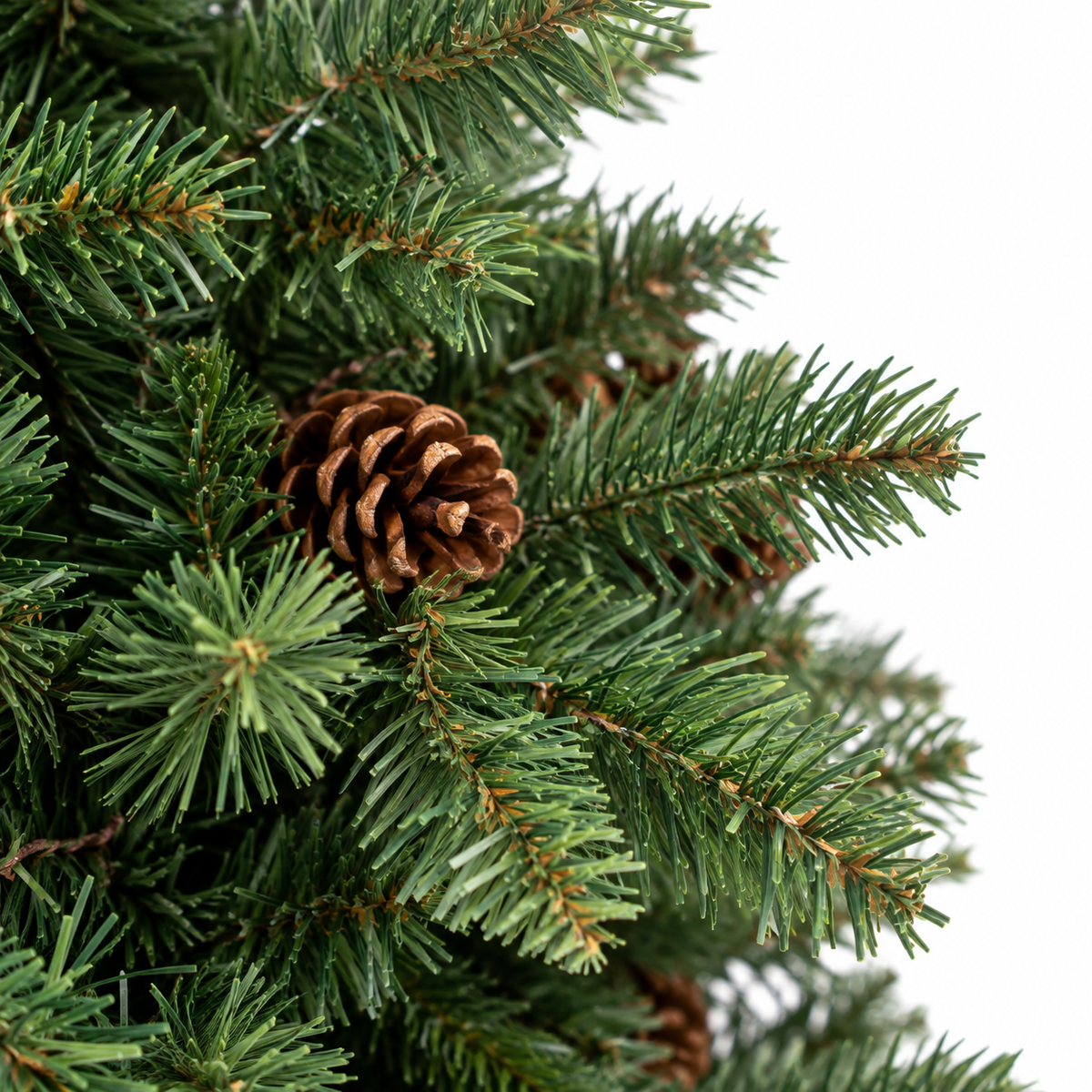 Sapin Clairière vert dense pommes de pin extérieur | L'Atelier Enchanté