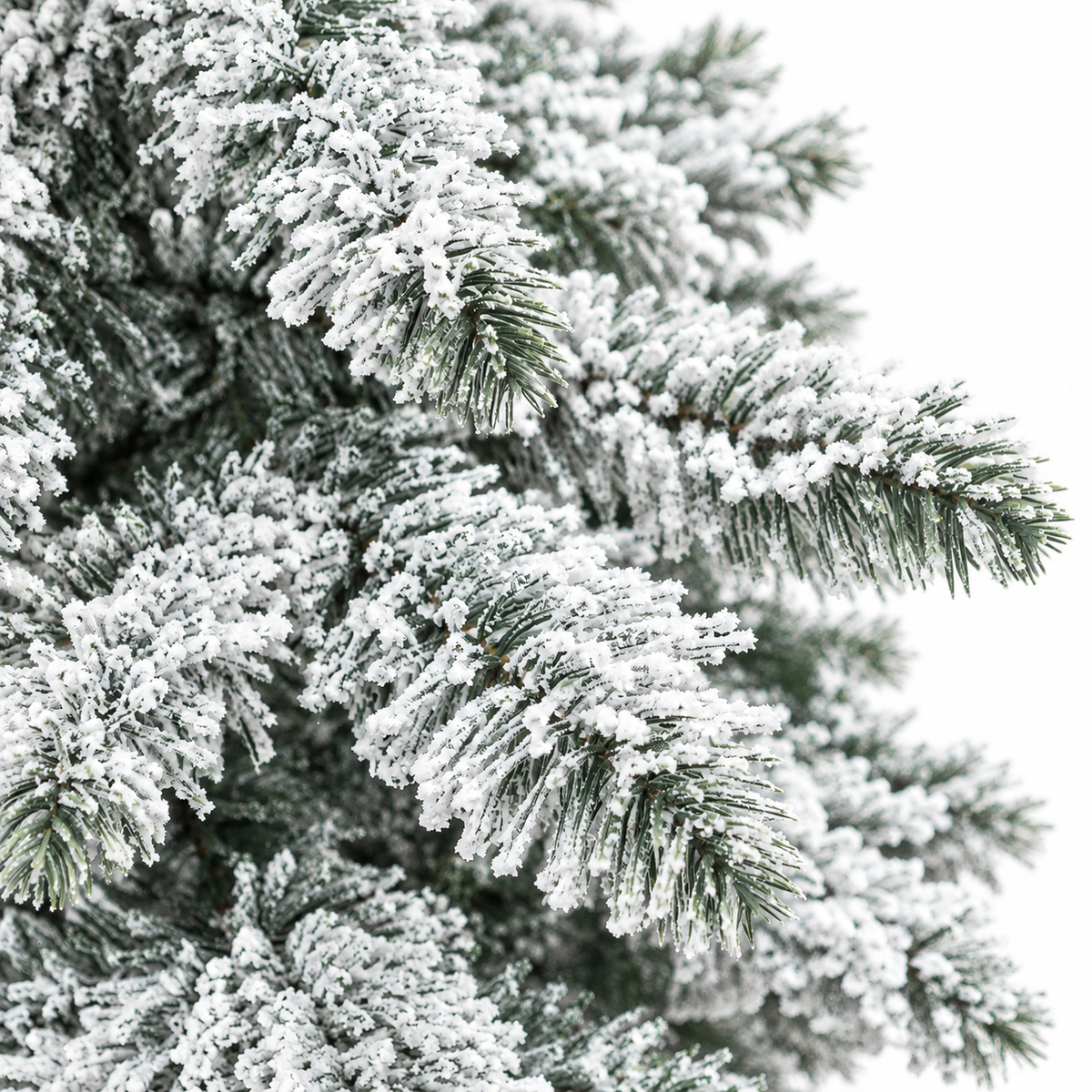 Sapin Alpin floqué dense 657 branches | L'Atelier Enchanté