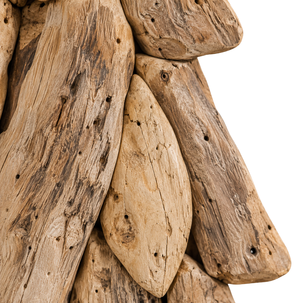 Sapin Bois de Teck sculpture brut sur pied | L'Atelier Enchanté