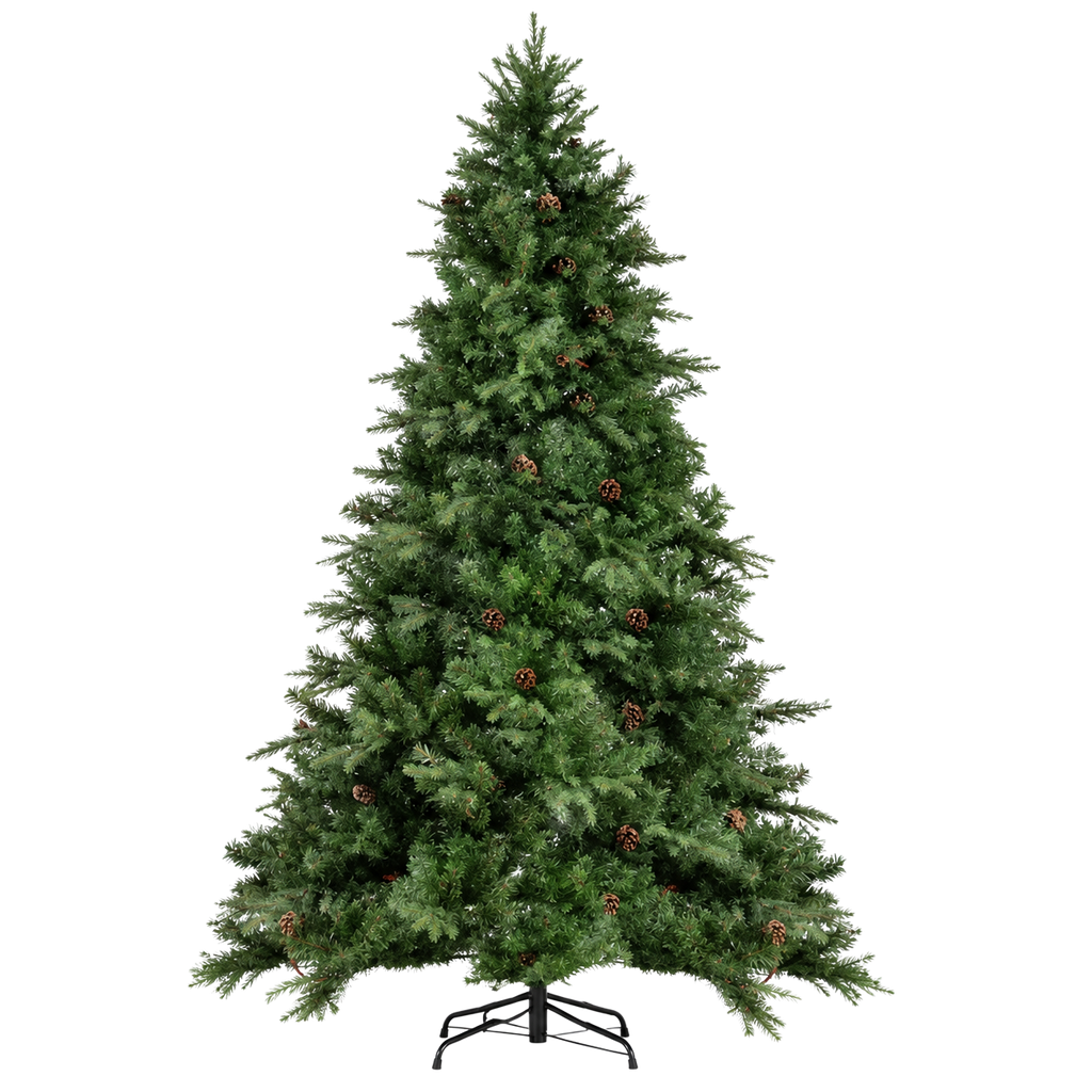 Sapin Clairière vert dense pommes de pin extérieur | L'Atelier Enchanté