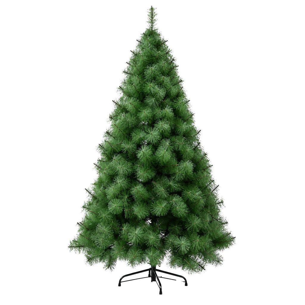 Sapin des Vosges aiguilles longues 6 tailles | L'Atelier Enchanté