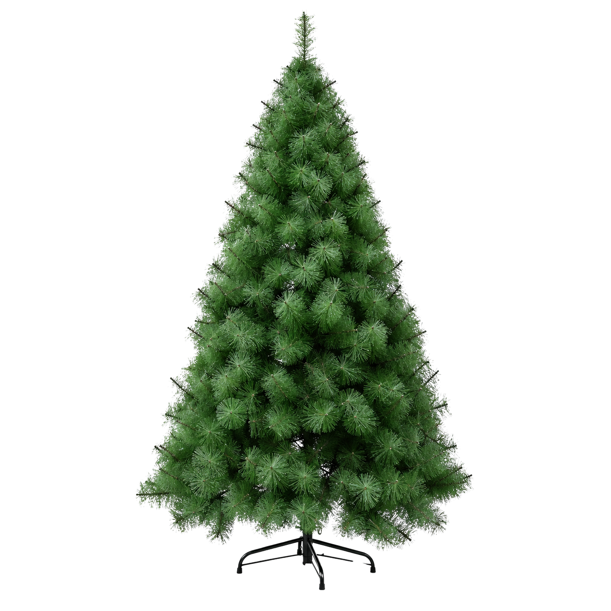 Sapin des Vosges aiguilles longues 6 tailles | L'Atelier Enchanté